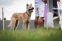 TdoT VdH Viernheim 107 61