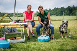 TdoT VdH Viernheim 111 63