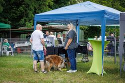 TdoT VdH Viernheim 113 65