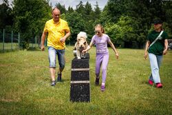 TdoT VdH Viernheim 119 69