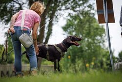 TdoT VdH Viernheim 154 90