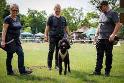 TdoT VdH Viernheim 16 7