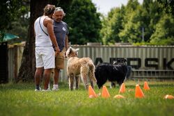 TdoT VdH Viernheim 52 30