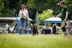 TdoT VdH Viernheim 53 31