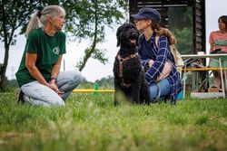 TdoT VdH Viernheim 83 53