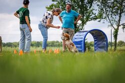 TdoT VdH Viernheim 92 57