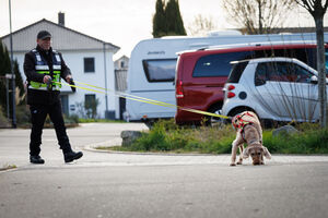 MT Fee 30 03 2026 1.jpg