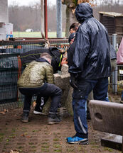 VdH Arbeitseinsatz 2026 48