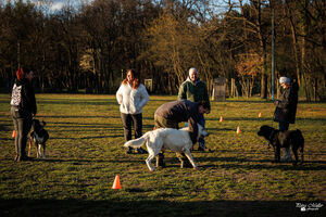BH Training 01 04 2026 1