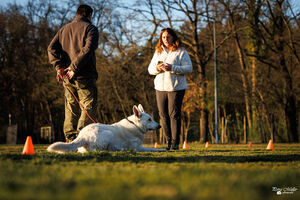 BH Training 01 04 2026 6