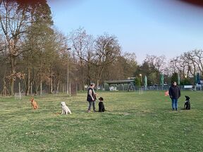 WhatsApp Image 2026 03 24 at 21.38.33