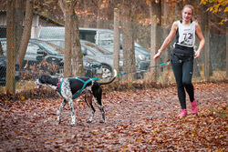 Speedhunter VdH Viernheim 16 11 2025 13