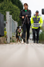 Mantrailing Workshop 27 09 2025 119