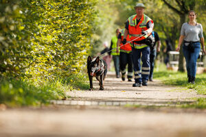 Mantrailing Workshop 27 09 2025 147