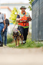 Mantrailing Workshop 27 09 2025 158