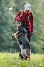 Mantrailing Workshop 27 09 2025 181