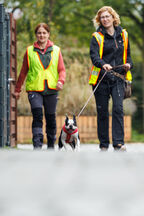 Mantrailing Workshop 27 09 2025 36