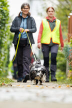 Mantrailing Workshop 27 09 2025 61