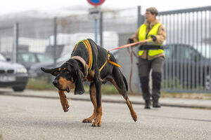 Mantrailing Workshop 28 09 2025 10