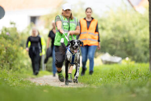 Mantrailing Workshop 28 09 2025 110