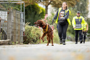 Mantrailing Workshop 28 09 2025 28