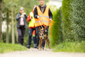 Mantrailing Workshop 28 09 2025 35