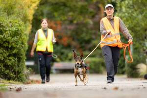 Mantrailing Workshop 28 09 2025 50