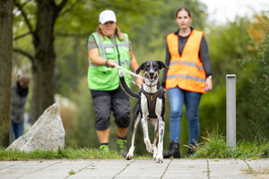 Mantrailing Workshop 28 09 2025 69