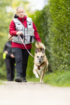 Mantrailing Workshop 28 09 2025 92