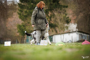 Rally Obedience Training 14 03 2026 10