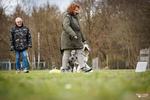 Rally Obedience Training 14 03 2026 11