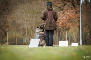 Rally Obedience Training 14 03 2026 13