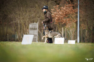 Rally Obedience Training 14 03 2026 14