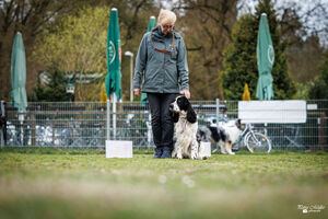 Rally Obedience Training 14 03 2026 17