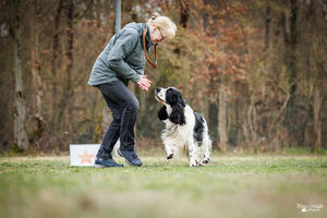 Rally Obedience Training 14 03 2026 19