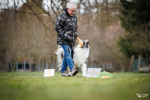 Rally Obedience Training 14 03 2026 24