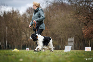 Rally Obedience Training 14 03 2026 3