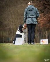 Rally Obedience Training 14 03 2026 4