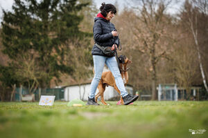 Rally Obedience Training 14 03 2026 6