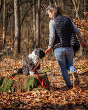 Saisoneröffnung mit gemeinsamen Walk 01 03 2026 27