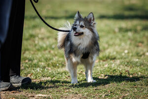 Saisoneröffnung mit gemeinsamen Walk 01 03 2026 48