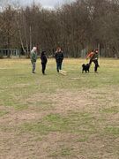 WhatsApp Image 2026 02 15 at 16.08.49