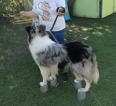 Fenrir Dose