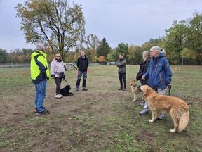 Training der Übungsleiter des VdH Viernheim e