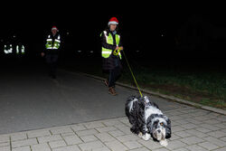 Mantrailing Weihnachts Training 15 12 2025 10