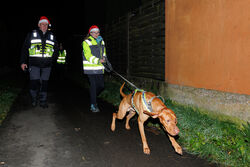 Mantrailing Weihnachts Training 15 12 2025 25