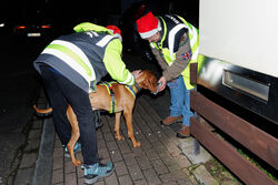 Mantrailing Weihnachts Training 15 12 2025 27