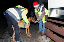 Mantrailing Weihnachts Training 15 12 2025 28