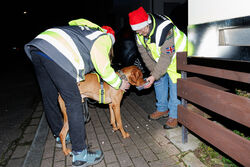 Mantrailing Weihnachts Training 15 12 2025 29