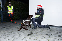 Mantrailing Weihnachts Training 15 12 2025 47